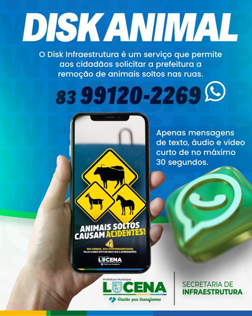 Vereadora Rebate Desinformação De Colega E Prova Que Animais Soltos Nas Ruas Continuam Sendo Apreendidos Pela Prefeitura
